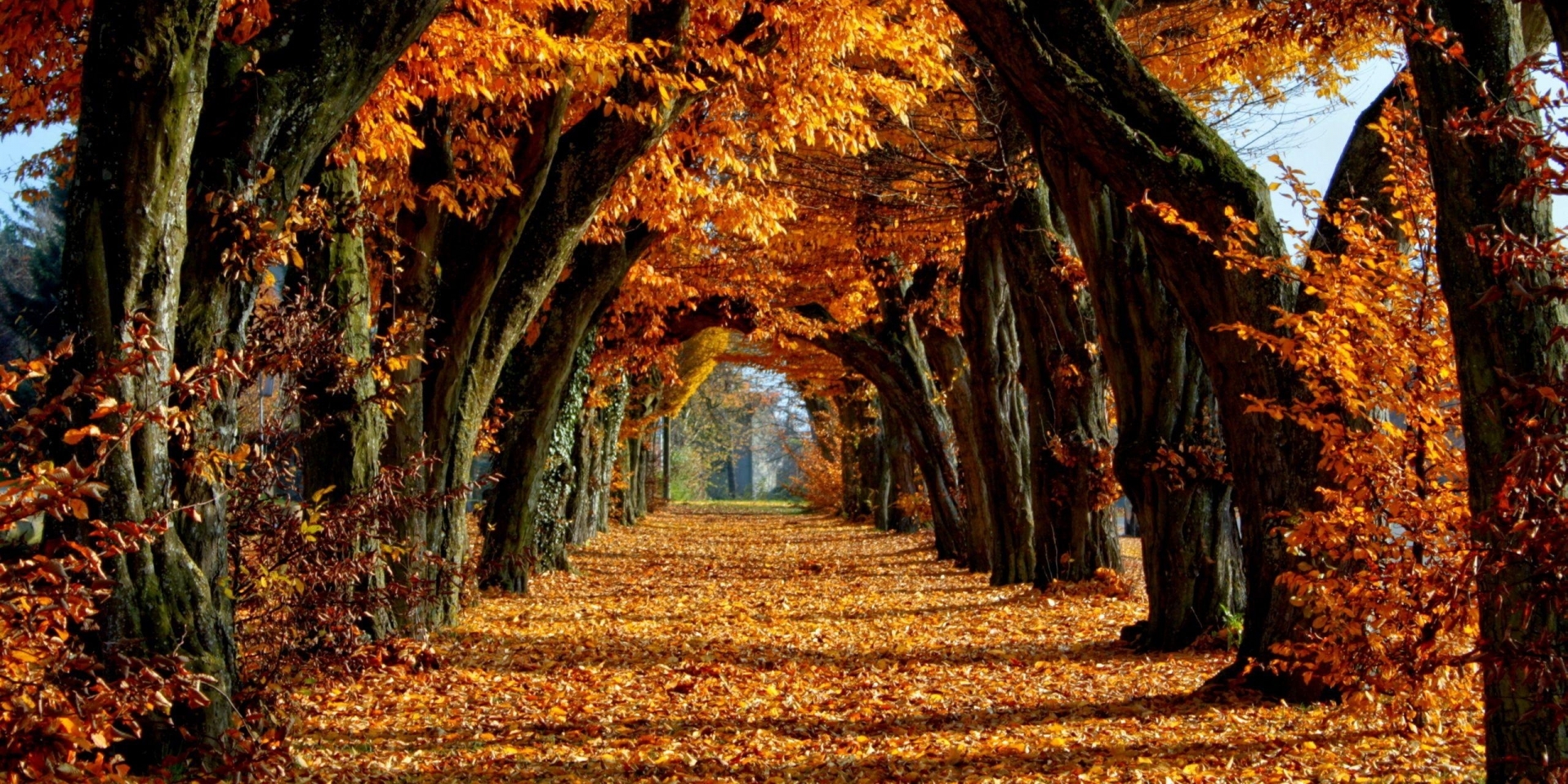 Hungary and You Kft.